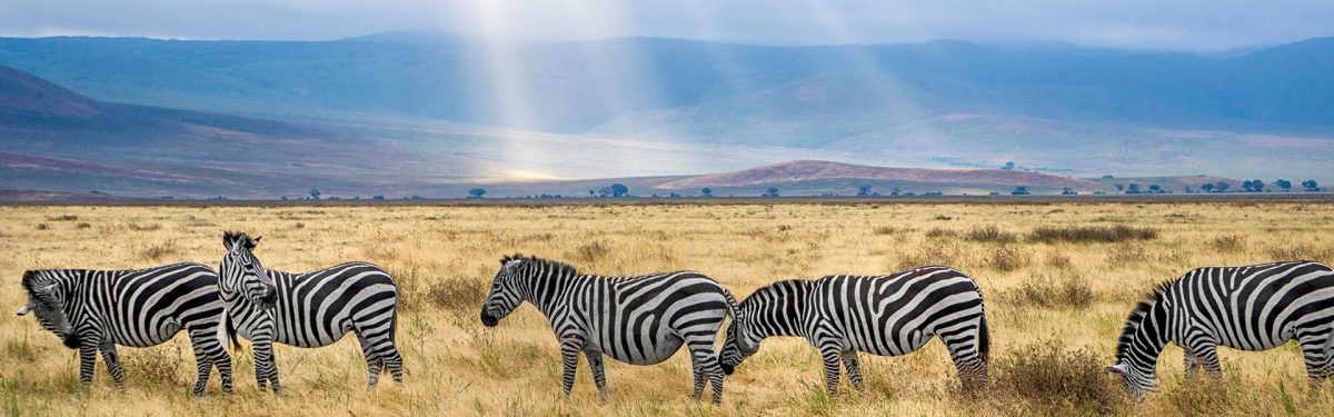 solo female travel safety Africa comparison