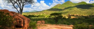 travelsafe sos kenya blog hero picture