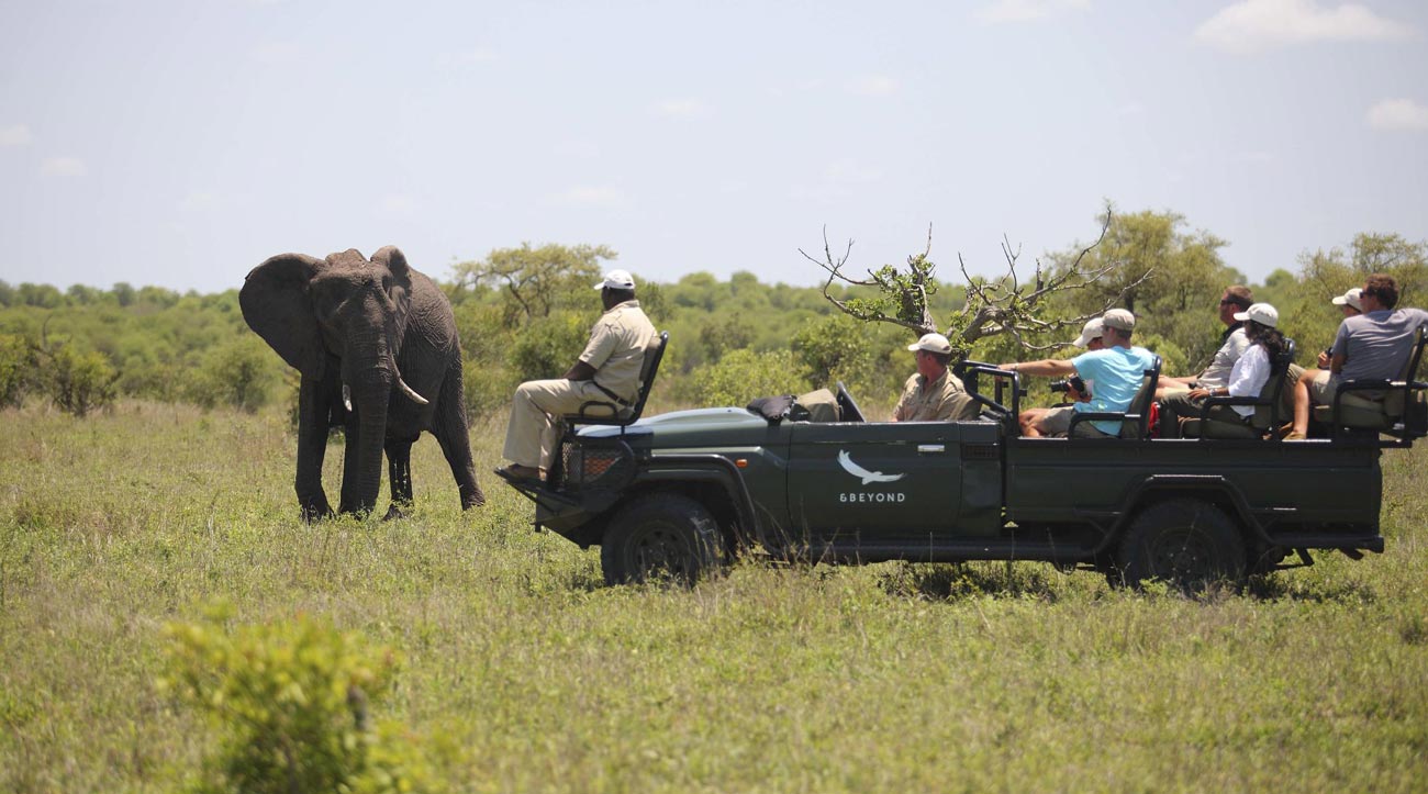 South Africa Travel Safety Guide