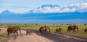 Is Kenya Safe for Tourists