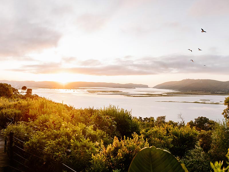 South Africa Safe for Tourists Travel Safety Guide