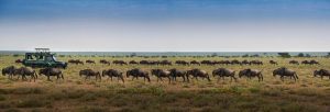Tanzania Travel Safety