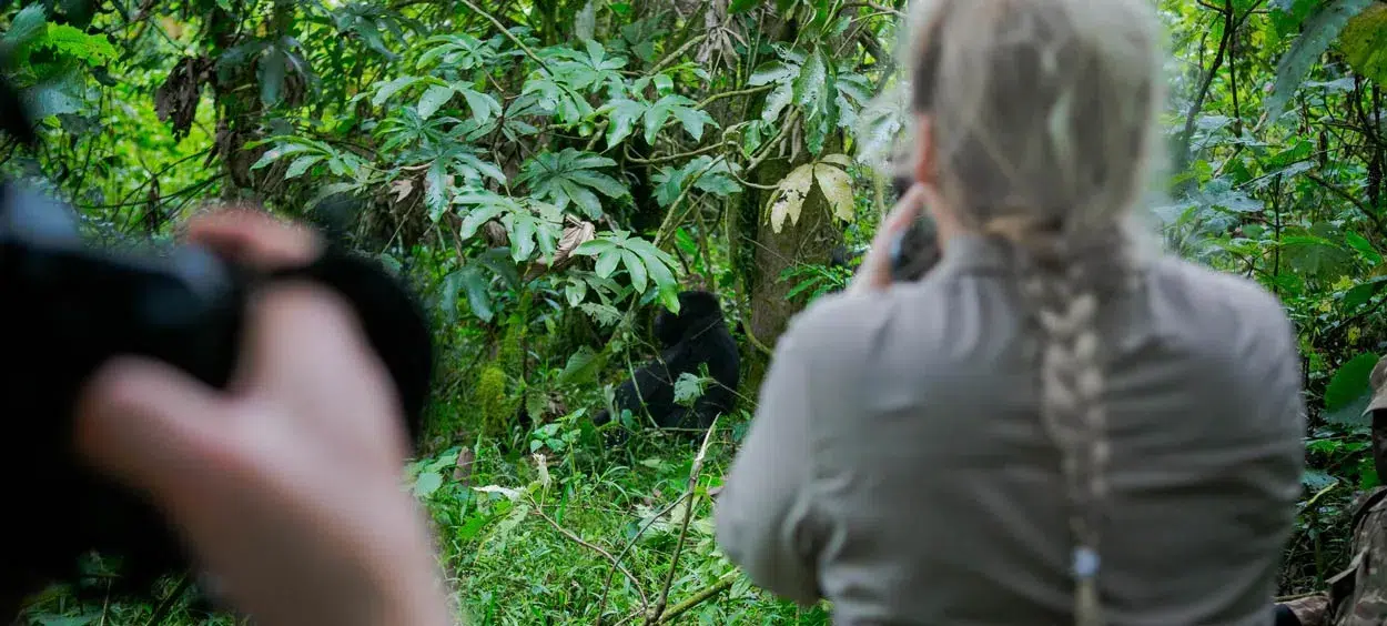 Uganda Travel Safety Guide