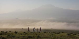 Kilimanjaro Trekking Guide