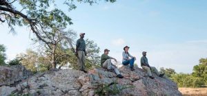 Safari Safety in Kruger National Park