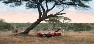 Malaria Risk in Tanzania