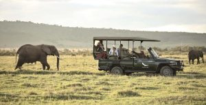 Masai Mara Safari Safety Guide