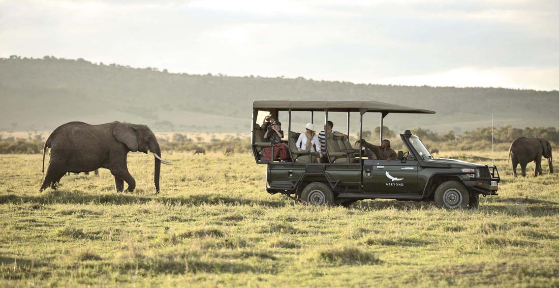 Masai Mara Safari Safety Guide