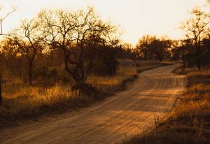 Botswana travel safety guide