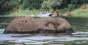 Botswana travel