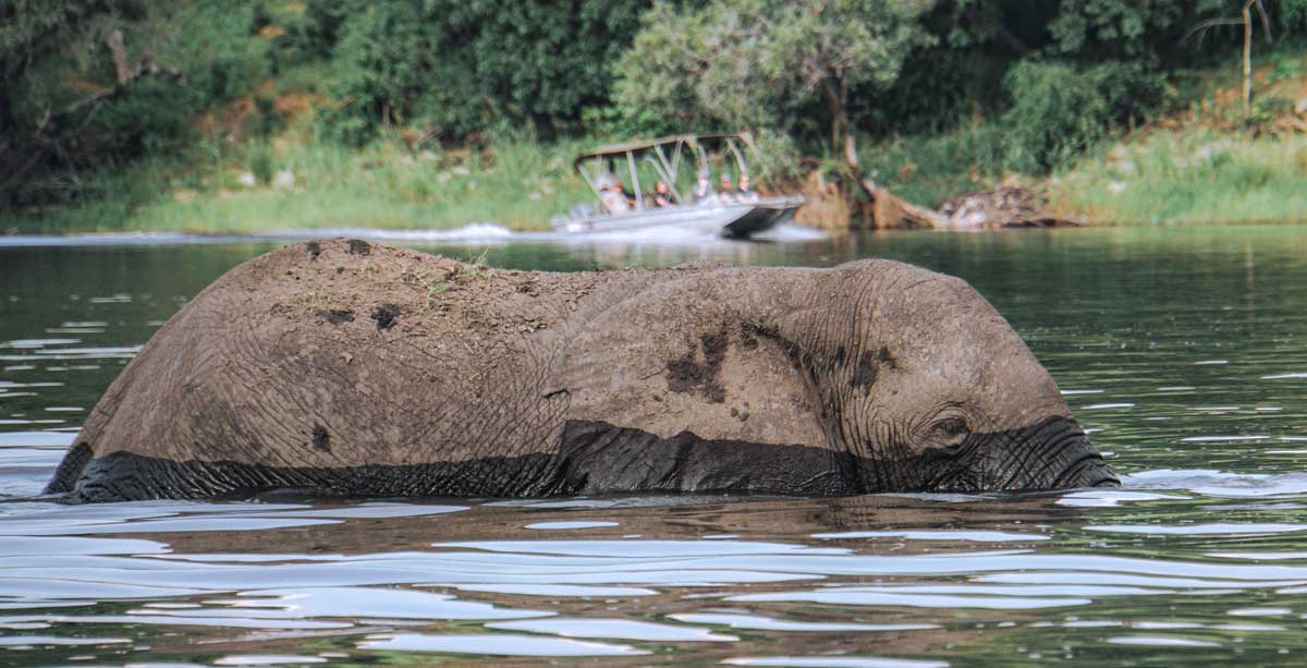 Botswana travel