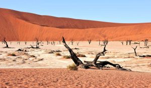 Namibia Desert Travel Safety