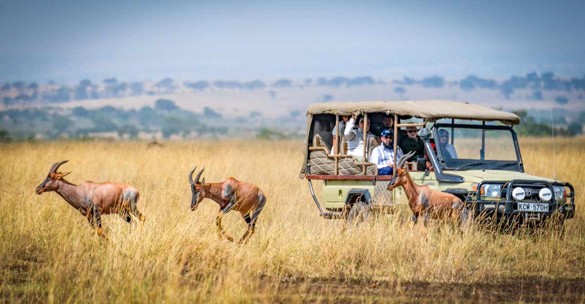 Kenya Safari and City Safety