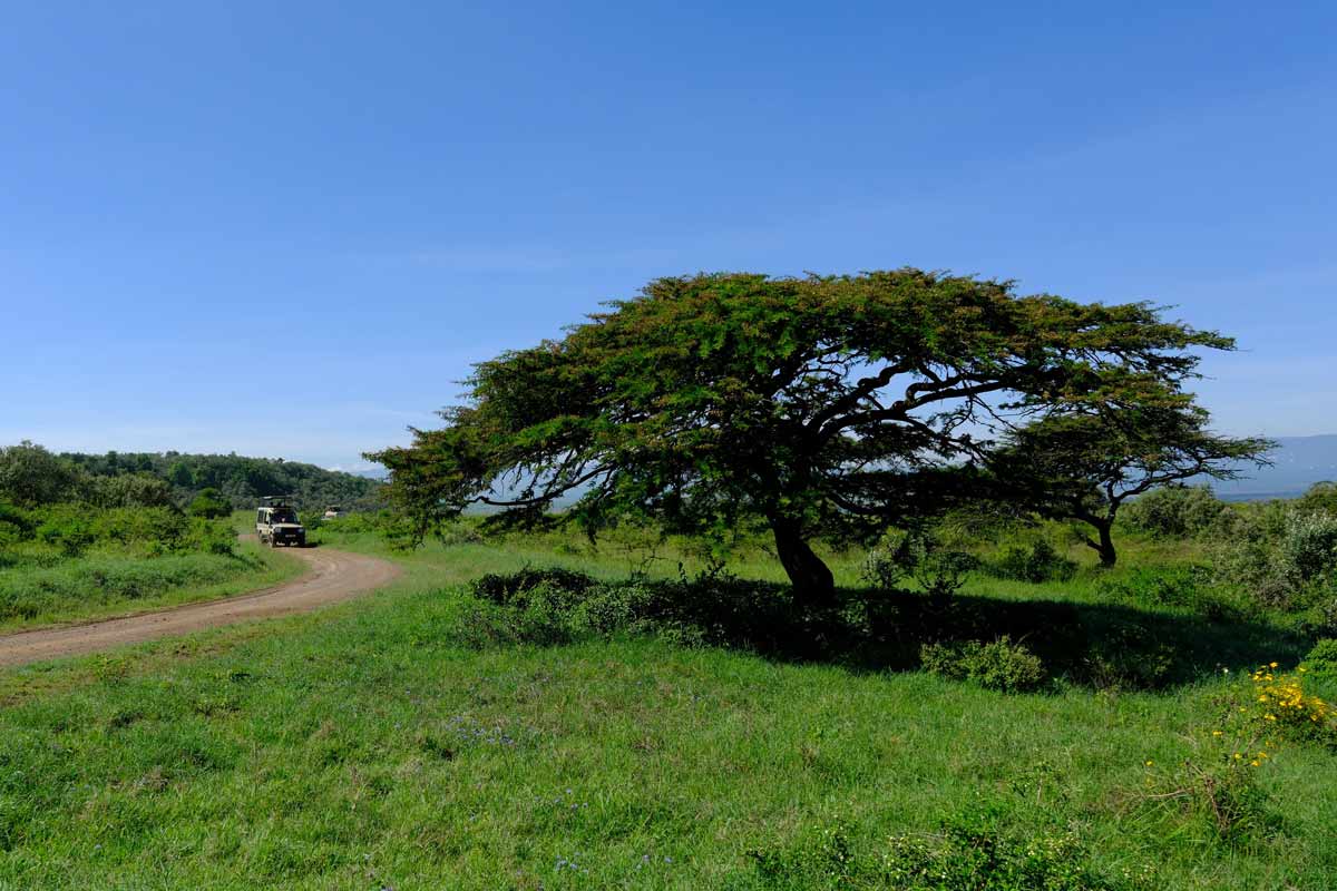 Kenya travel safety
