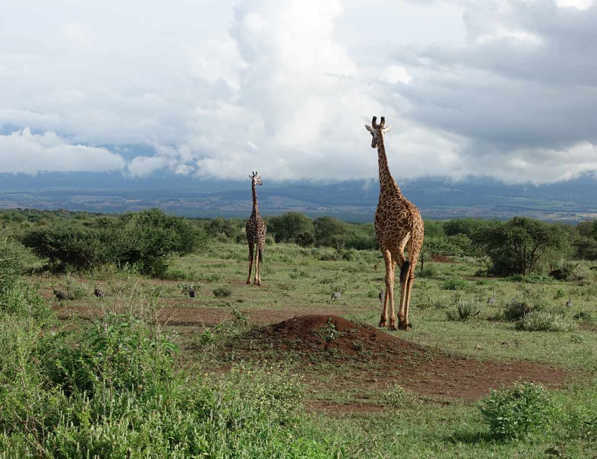 Kenya holiday safety