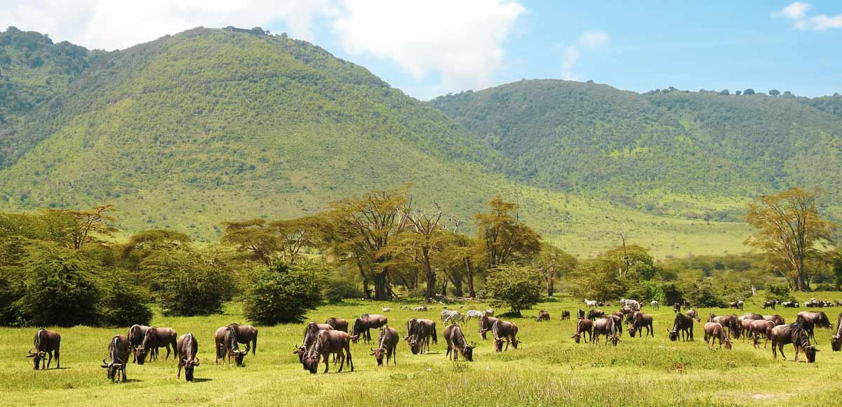 Tanzania travel safety