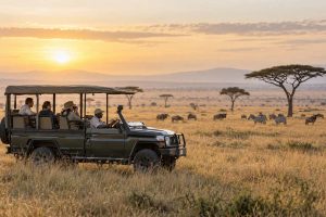 Serengeti wildlife safety