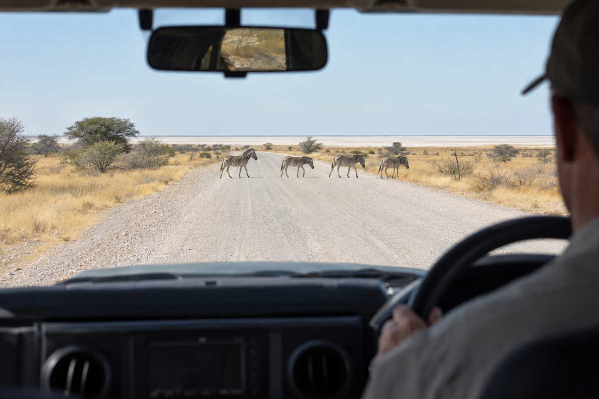 Zebras crossing a gravel road ahead of a driver during a Namibia self-drive safari